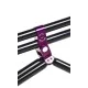 Род под Dayko Rod Pod Purple & Black 3 Rods Compact bitubo Black buzz bars  Limited Edition